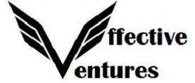 Effective Ventures Home Services